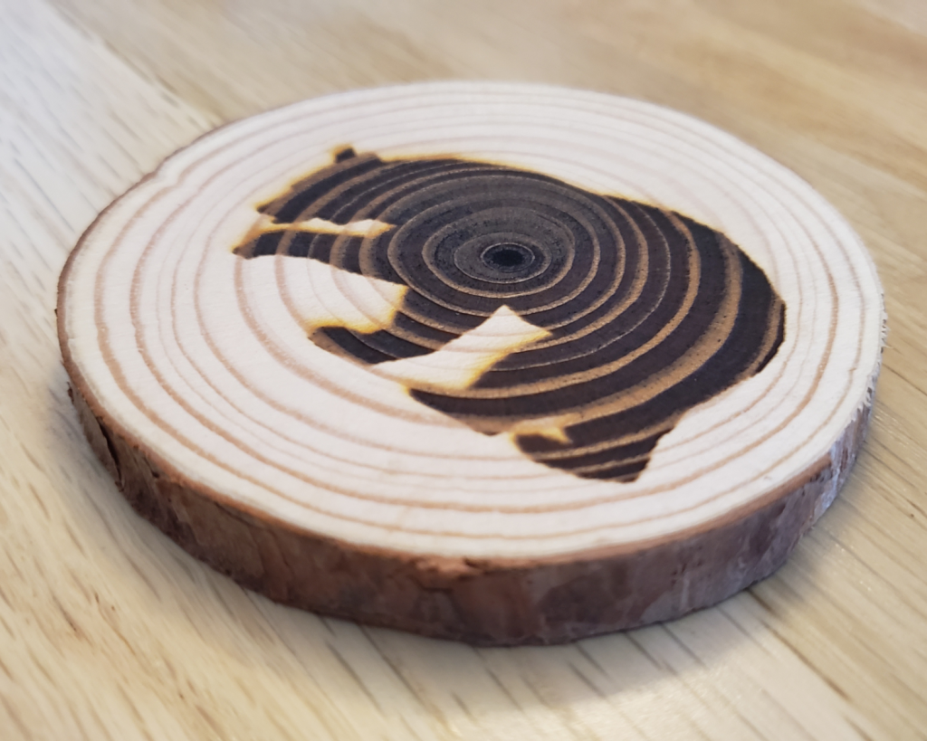 Bear Coaster Set