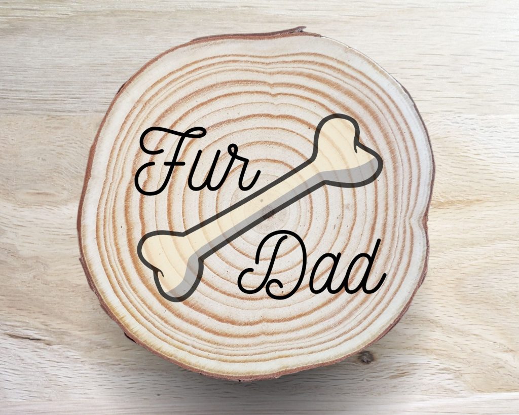 Dog Bone Coaster Set